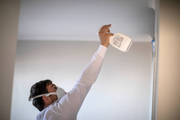 Best Residential Mold Remediation in Rancho Cordova, CA