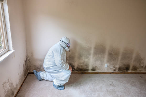 Rancho Cordova, CA Mold Remediation Company