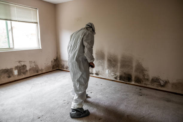 Best Mold Remediation for Specific Building Types in Rancho Cordova, CA